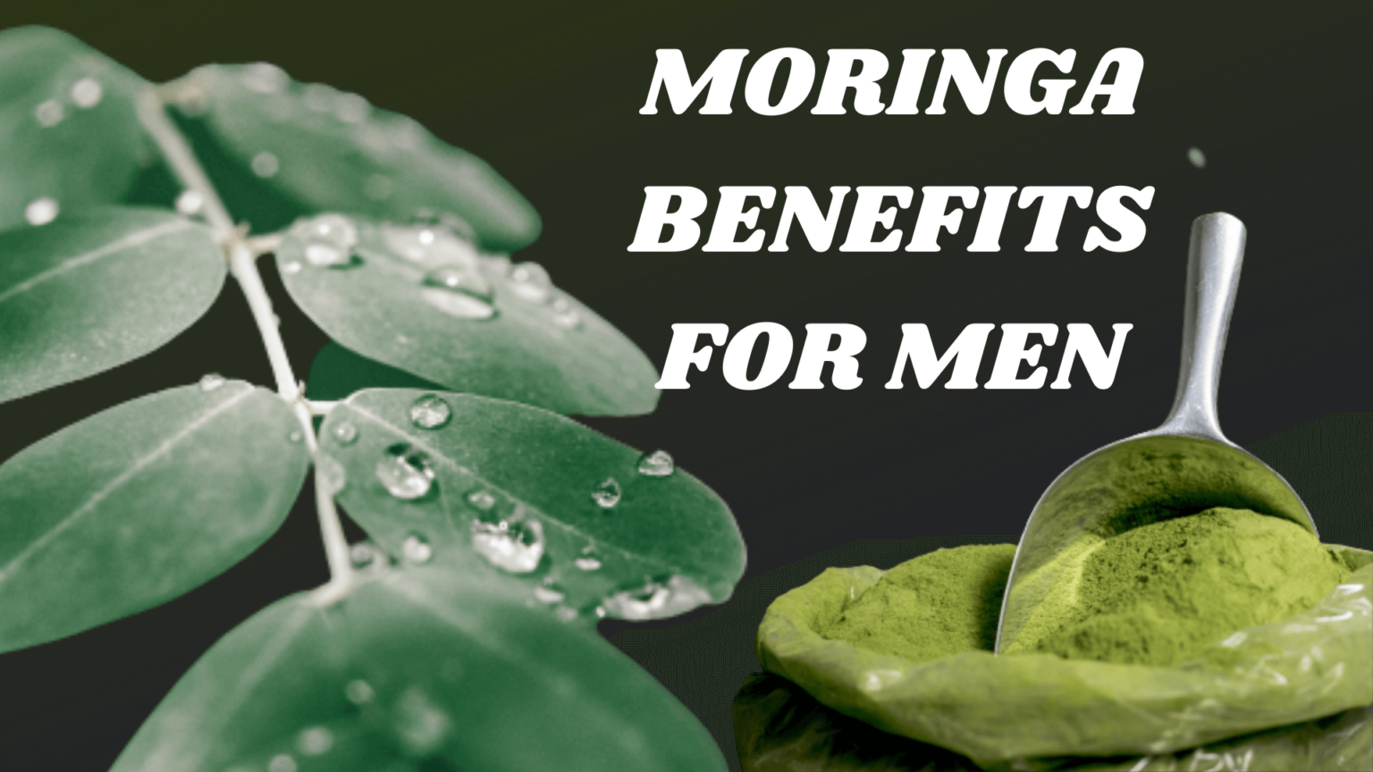 5 Impressive Moringa Benefits For Men Healthy Lifestyle 2357