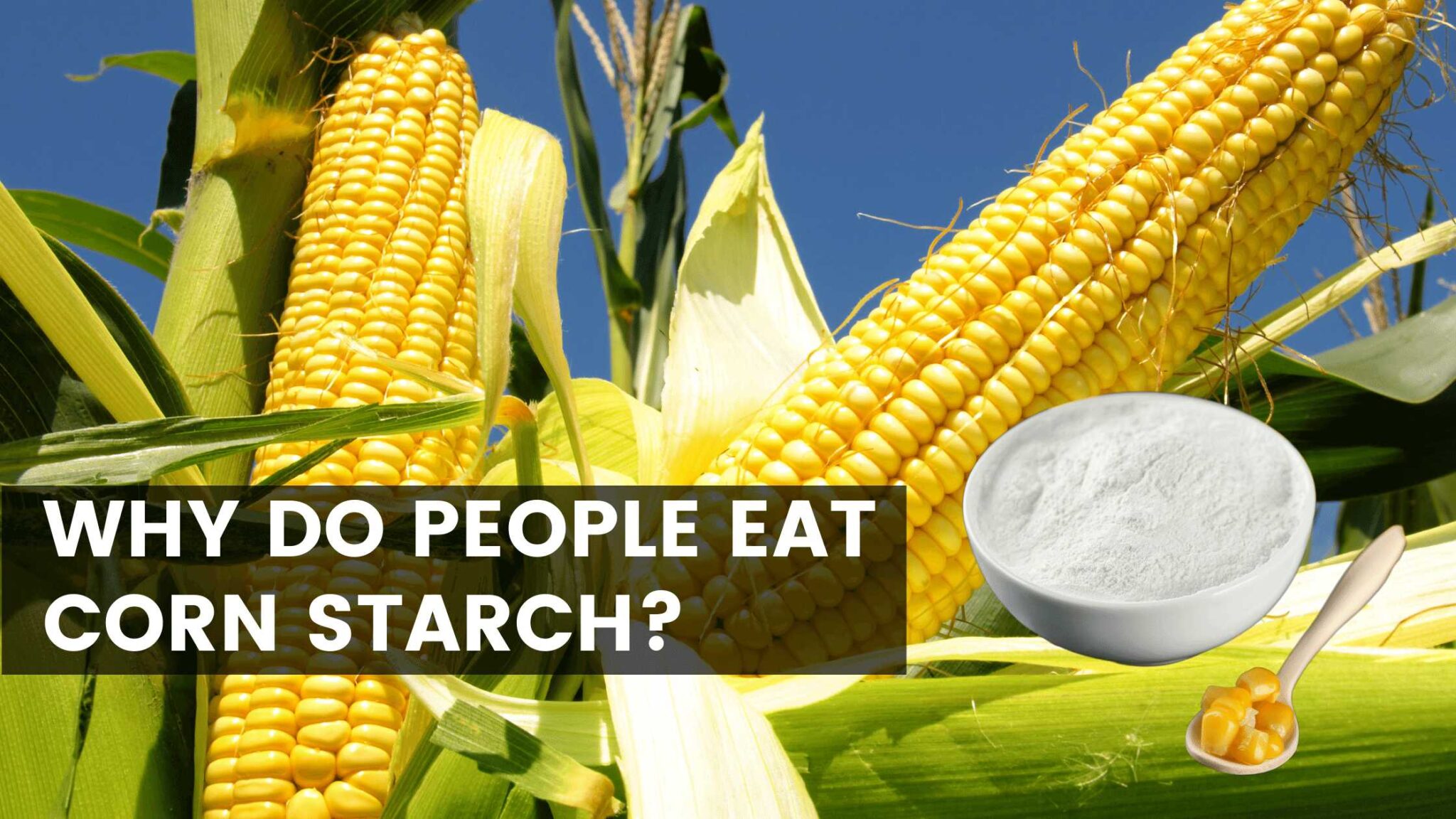 5 Reasons Why Do People Eat Corn Starch » Healthy Lifestyle